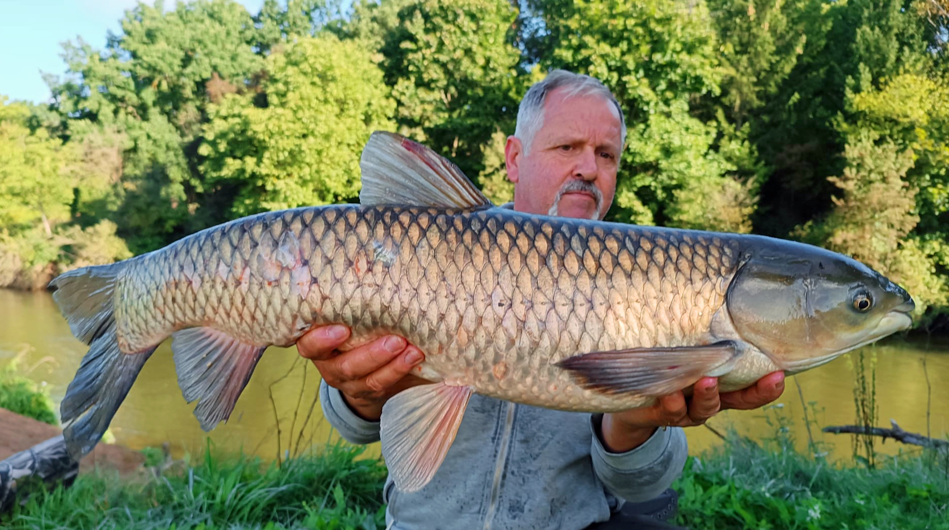 Martin Schmidt Graskarpfen 80 cm 11.300 g Rednitz
