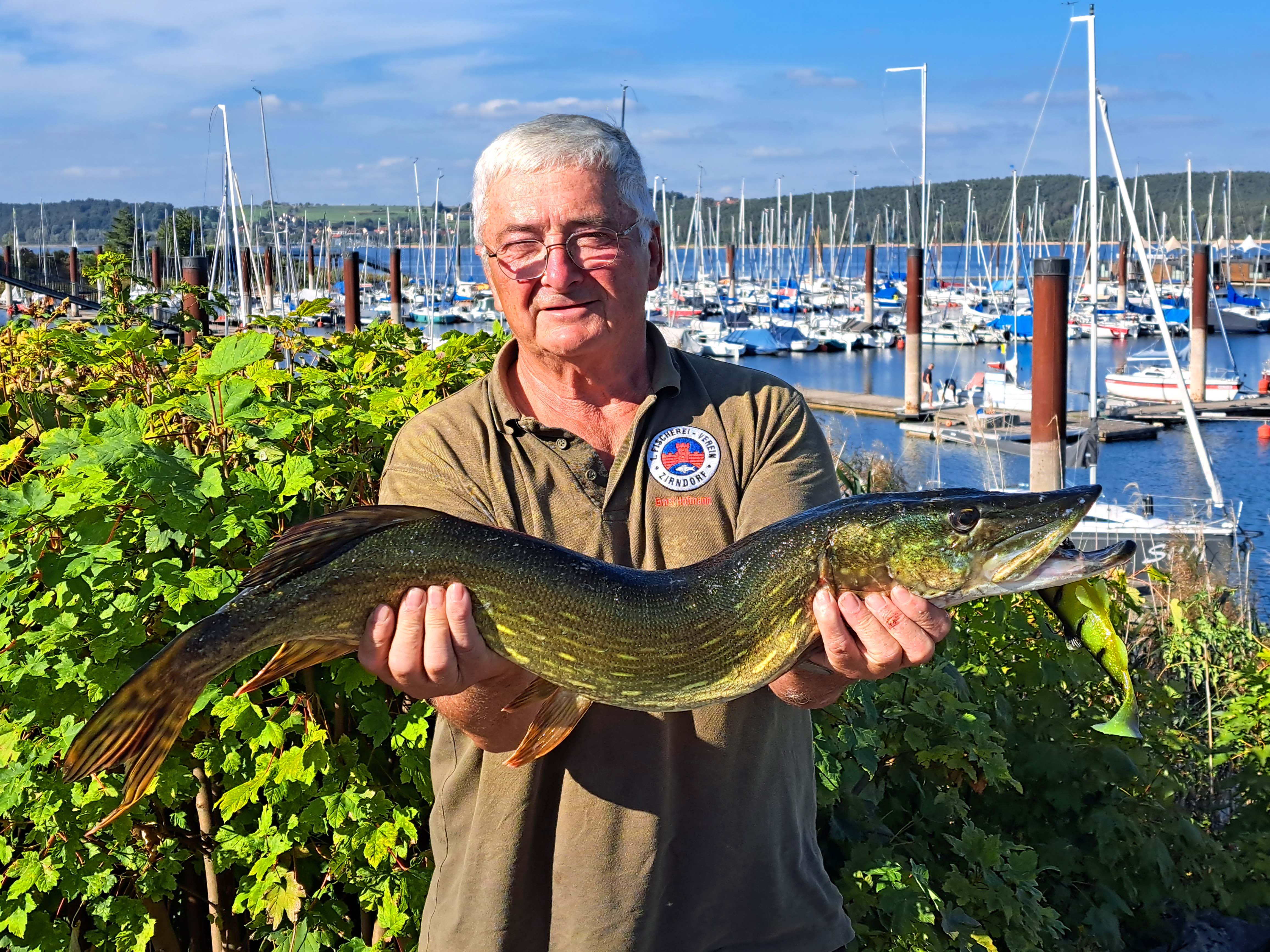 Ernst Hofmann Hecht 88 cm 12 Pfund Großer Brombachsee
