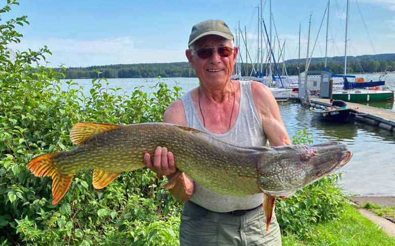 Oswald Seitz Hecht 110 cm 20 Pfund Kleiner Brombachsee