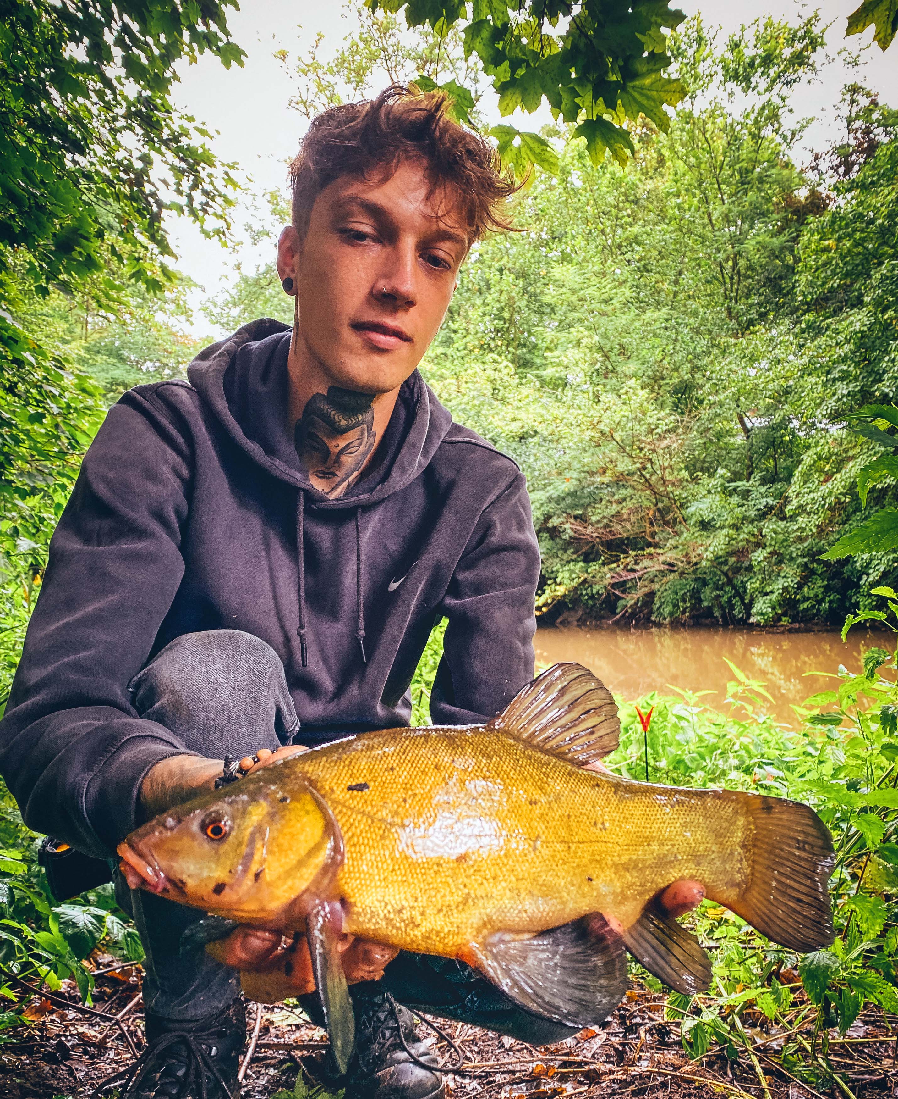 Nico Baumgärtel Schleie 36 cm 750 g Bibert