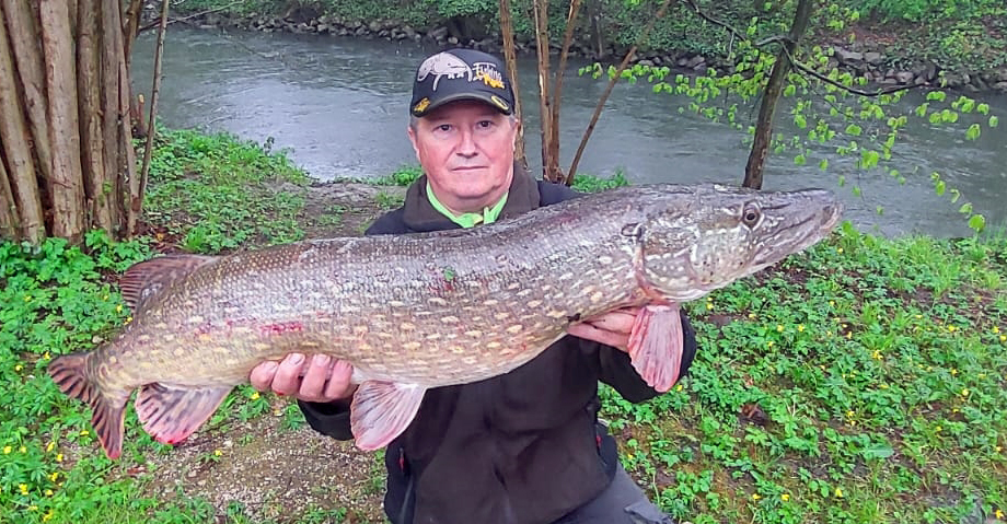 Christian Seigfried Hecht 105 cm 19 Pfund Pegnitz