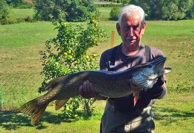 Erwin Riegel Hecht 97 cm Bibert