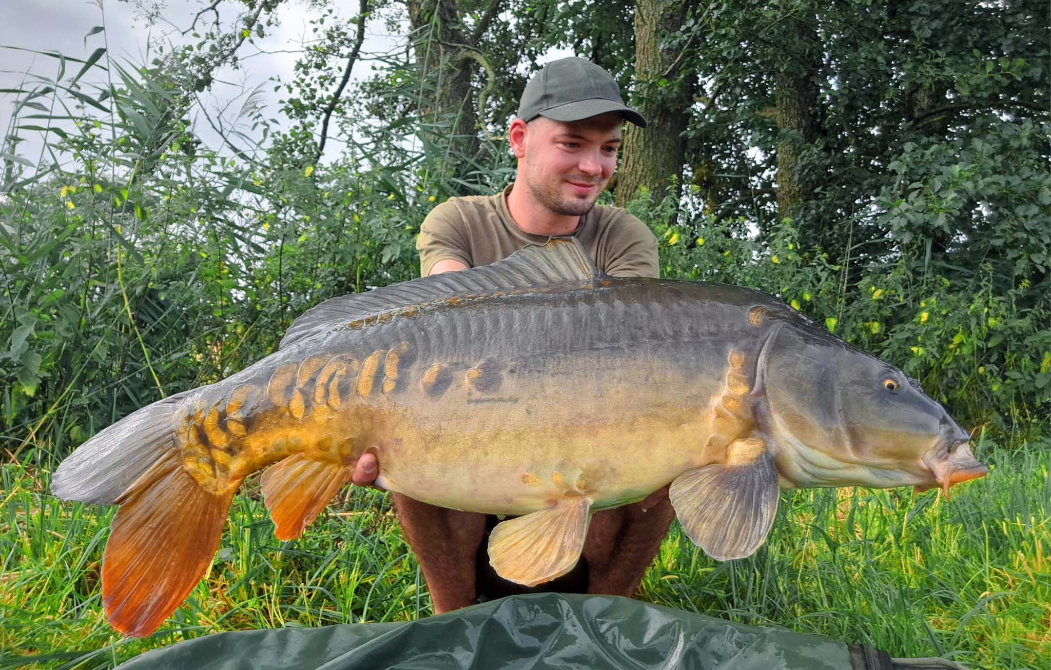 Thomas Lanzendörfer Karpfen 84 cm 12,7 kg Wörnitz
